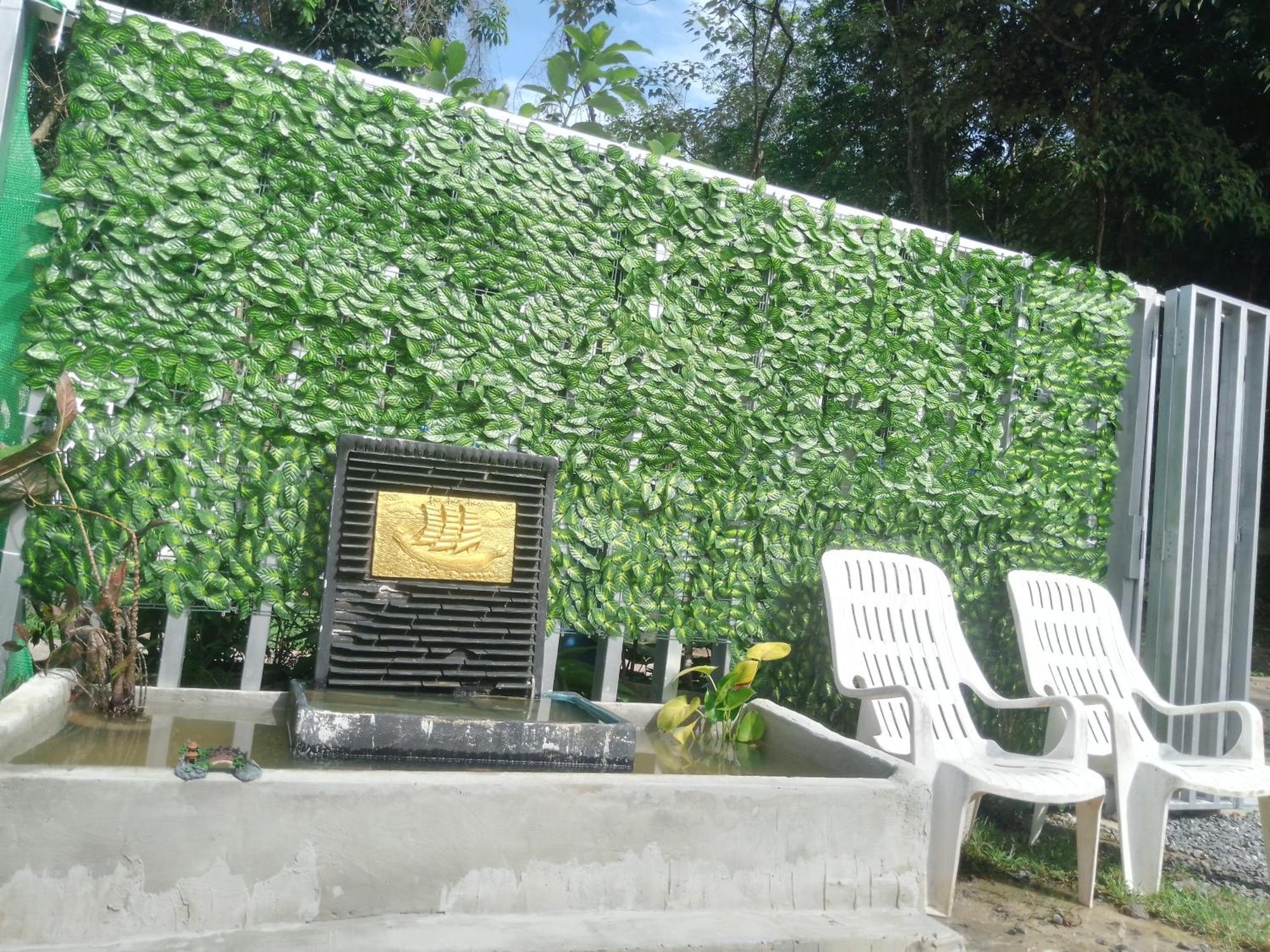 Mateoasis